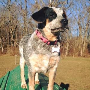 Meet your Posher, Heather